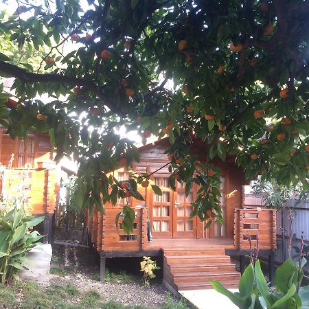 Cottage house New Athos Esterno foto