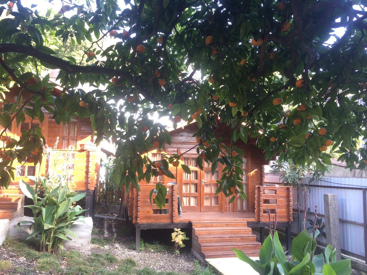Cottage house New Athos Esterno foto