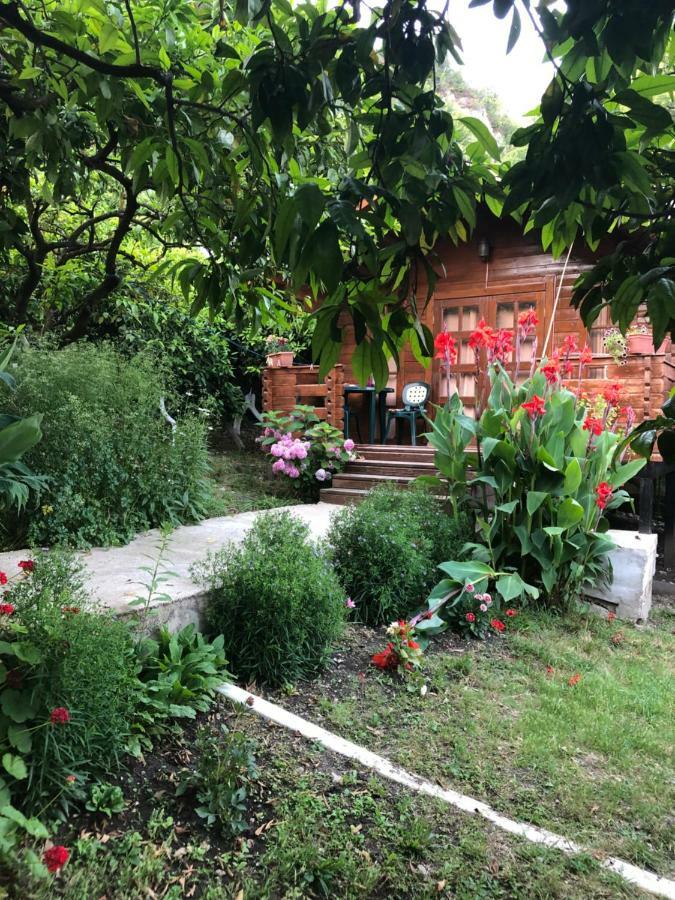 Cottage house New Athos Esterno foto